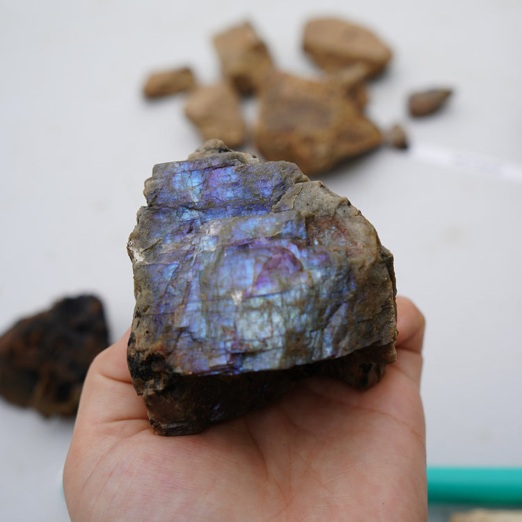 Wisconsin Moonstone, LLC
